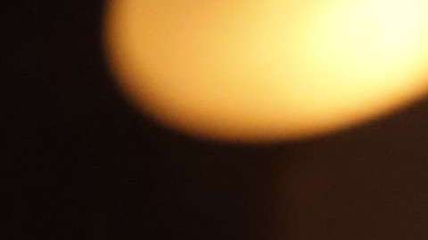 Antonio Banderas interpreta a Pablo Picasso.