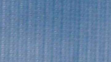 Pamela Anderson dice que en Hollywood todos deberían utilizar el sentido común.