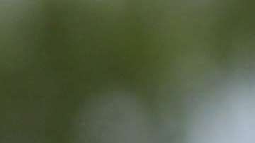 Se conoce la verdad de ciertas cifras que utiliza el gobierno para justificar su agenda migratoria