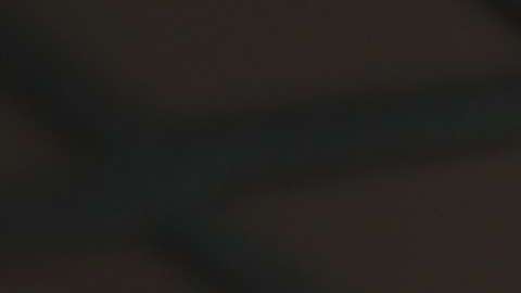 En la Administración Trump se ha separado a 700 niños de sus padres inmigrantes.