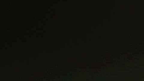 El juez Gorsuch fue designado por Trump.