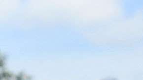 Los haitianos protestan ante la cancelación de su Estatus de Protección Temporal.  Getty Images