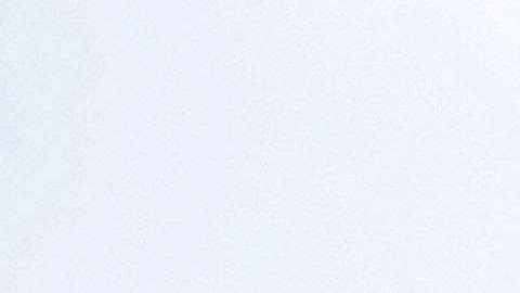 CBP revisará a inmigrantes que pueden ingresar a EEUU y a cuáles detener.