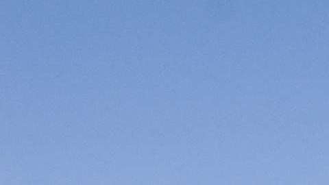 En 2006, la Guardia Nacional también fue desplegada en la frontera, en Arizona, para ayudar a la vigilancia.