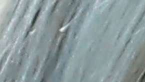 Ivanka Trump también padece los cambios repentinos de temperatura.