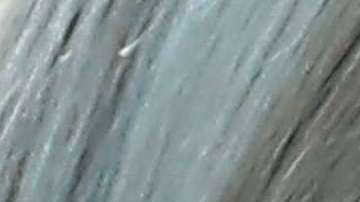 Ivanka Trump también padece los cambios repentinos de temperatura.