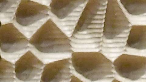 Jared Kushner e Ivanka Trump.