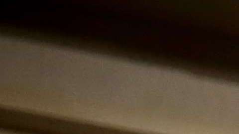 Conor McGregor se encuentra arrestado en Nueva York por disturbios