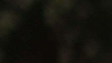 Activistas han aumentado las protestas contra el racismo.