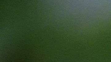 Kelly tachó de "patraña total" la información de NBC News