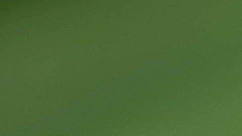 Fuentes cercanas a la primera dama aseguran que es su hijo Barron la única razón para estar con Trump