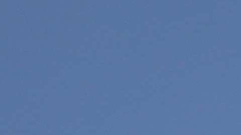 El programa se llevará a cabo en el puerto de entrada de Blaine en el estado de Washington