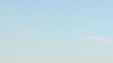 Indignación en la comunidad inmigrante por la decisión judicial