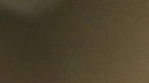 USCIS recibe las solicitudes para visas H-1B de 2019.