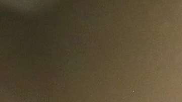 La desaparición de la visa H-4 todavía no es un hecho.