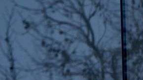 Apple llevará a cabo varias acciones por el Día de la Tierra.