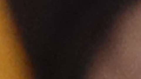 Ivanka Trump recibió una respuesta inesperada en Twitter.