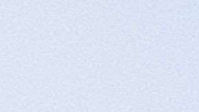 La pareja presidencial enfrenta varios escándalos del mandatario.