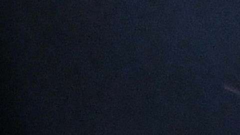 Según la Primera Dama francesa, Melania Trump siempre está vigilada.