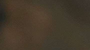 Otro intento más de Trump por deshumanizar a los inmigrantes públicamente