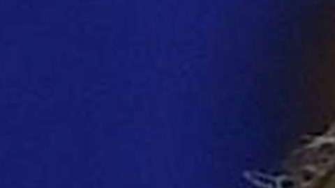 Todo sucedió durante la mesa redonda con líderes del sector agrícola