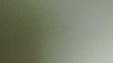 Demandan a Trump por manipular datos para exagerar liga de terrorismo con extranjeros y excluir datos de un reporte oficial