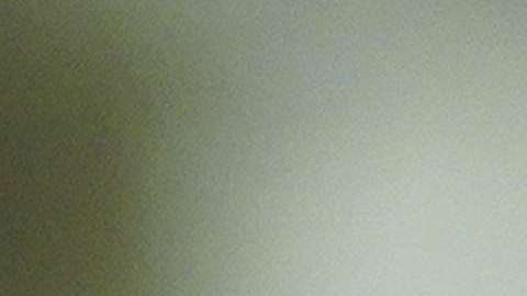 Demandan a Trump por manipular datos para exagerar liga de terrorismo con extranjeros y excluir datos de un reporte oficial