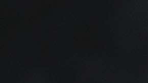 Por haber apoyado a Marco Rubio en 2016 Jon Lerner casi resulta víctima del ego del presidente