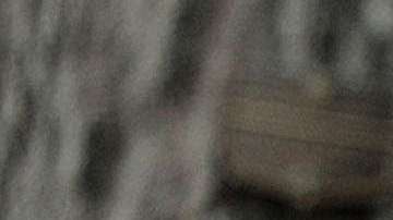 El presidente Trump ha tuiteado sobre inmigración este domingo.