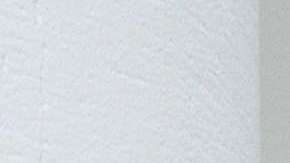 El incidente se presentó durante la celebración de Pascuas en la Casa Blanca