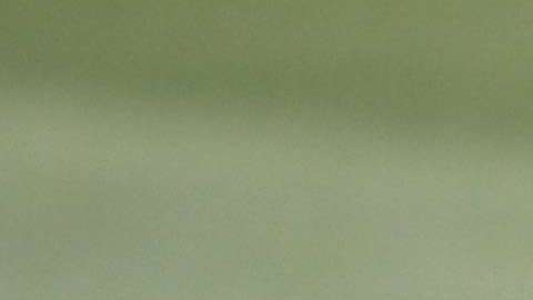 Arturo Vidal, delantero del Bayern Munich