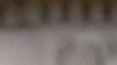 Según el reporte el 5% de los beneficiarios del programa se verían afectados