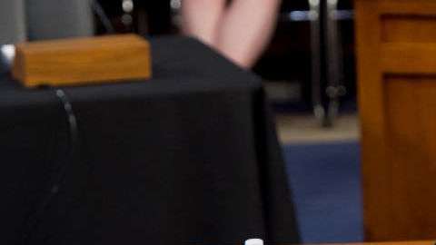 El almohadón sobre el que se sentó Mark Zuckerberg en el Senado de los EEUU.