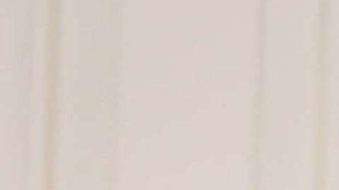 Luego de indagar se conoció que el árbol por llegar del exterior está en periodo de cuarentena