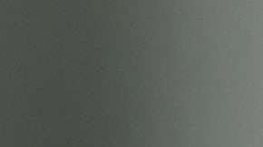 Emma Coronel argumenta que su esposo, El Chapo, enfrenta problemas psicológicos.