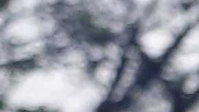 Se realizó el primero de los tres debates entre los cinco candidatos a la presidencia de México