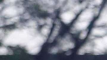 Se realizó el primero de los tres debates entre los cinco candidatos a la presidencia de México