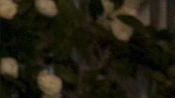 La pareja durante su llegada a la Cena de Estado.