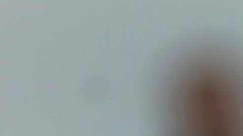 Donald Trump durante un acto en Washington Michigan.