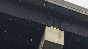 Dos cabras atrapadas en una autopista en Pensilvania.