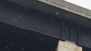 Dos cabras atrapadas en una autopista en Pensilvania.