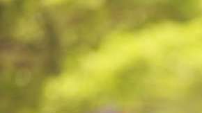 Del total de extranjeros, 222 provinieron de México, 187 de Colombia, 155 de Brasil, 130 de Chile, 73 de España, 63 de Argentina, y 56 de Perú