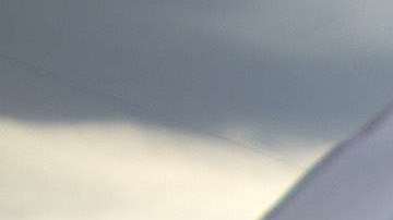 El 79 % de los manifestantes posee estudios superiores.