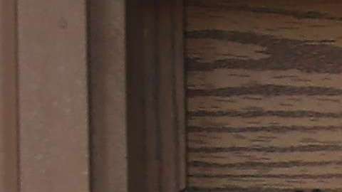 También prohíbe a empleados públicos indagar sobre el estatus migratorio de las personas