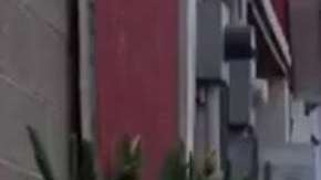 La actuación de ICE en zonas rurales  preocupa a activistas.