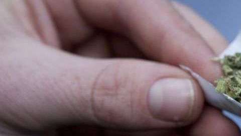 El más alto porcentaje de arrestos por posesión de marihuana es de latinos y negros.