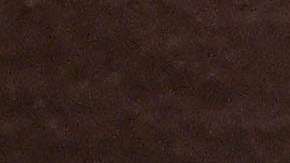 El actor estadounidense Rob Schneider es un gran aficionado de los Tigres UANL