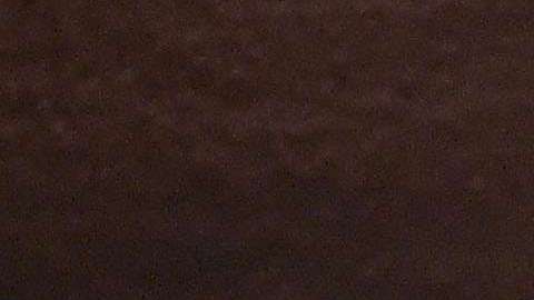 El actor estadounidense Rob Schneider es un gran aficionado de los Tigres UANL