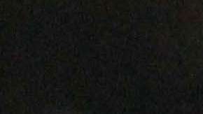 Las Chivas de Guadalajara reciben a los Tiburones Rojos del Veracruz, en duelo de la fecha 14