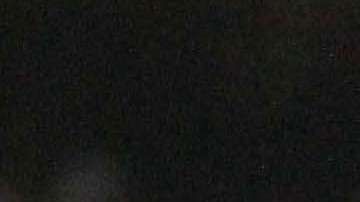 Las Chivas de Guadalajara reciben a los Tiburones Rojos del Veracruz, en duelo de la fecha 14